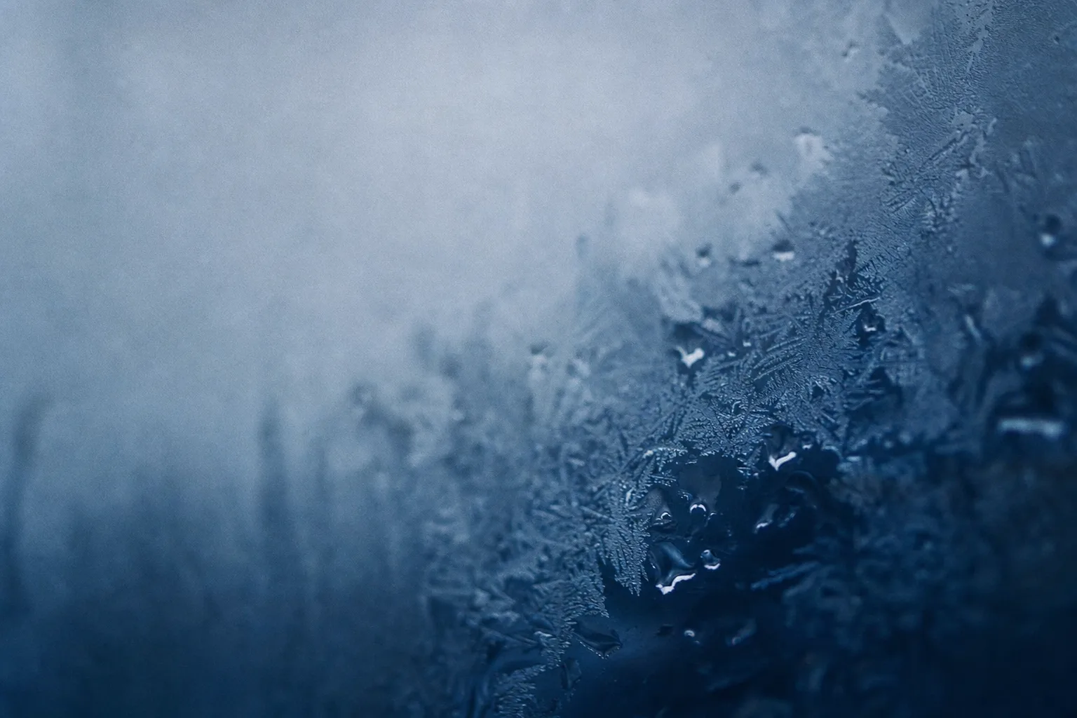 Cristaux de givre se formant par le froid, illustrant la cristallisation des cellules graisseuses sous l'effet de la cryolipolyse